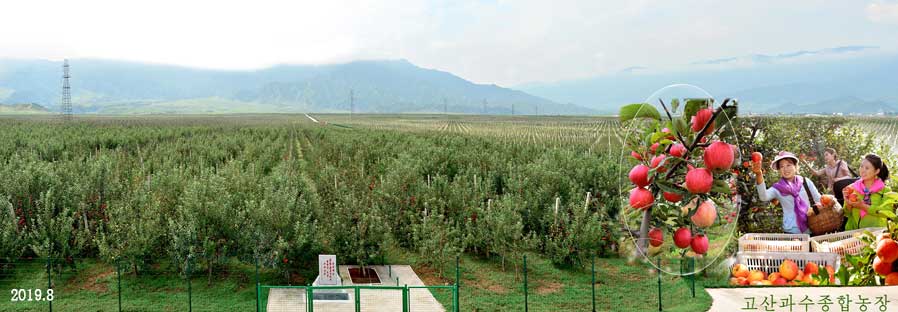 14-자력자강의 창조물 (2)